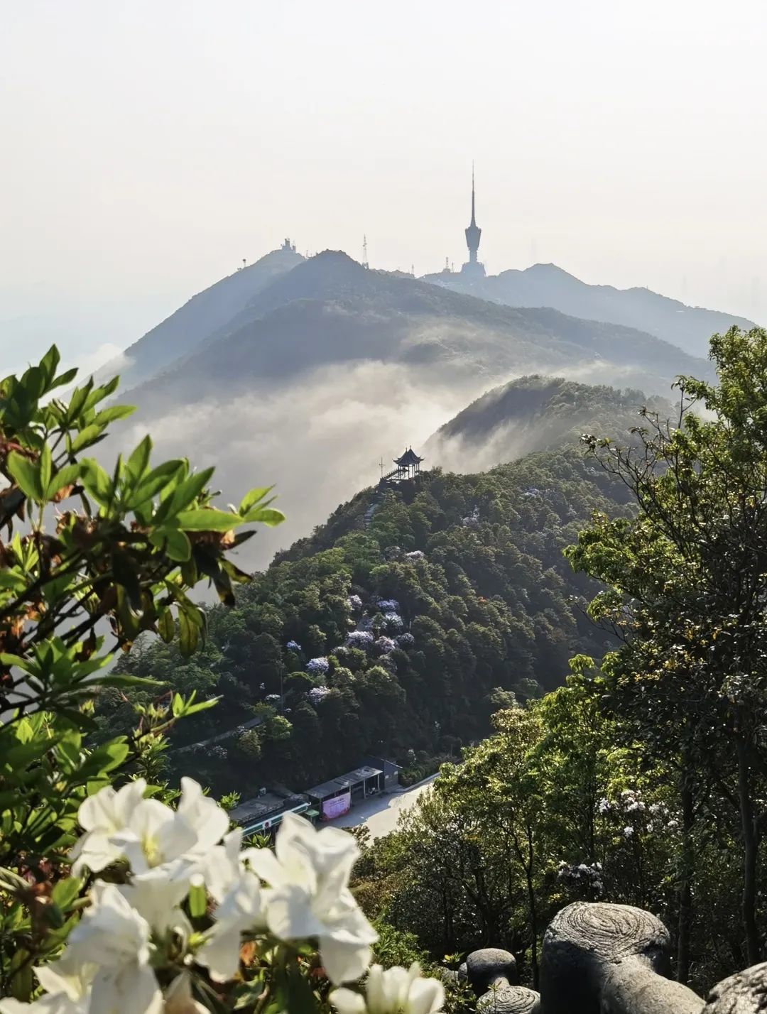 Wutong Mountain